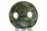 Flashy, Polished Labradorite Sphere - Great Color Play #266231-1